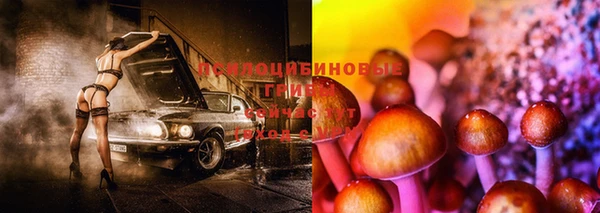 ГАЛЛЮЦИНОГЕННЫЕ ГРИБЫ Приозерск