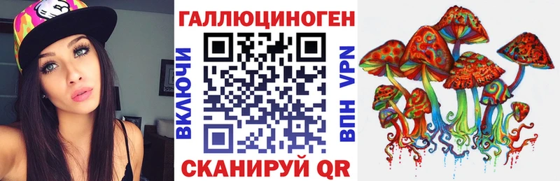 где купить наркоту Избербаш Галлюциногенные грибы Cubensis