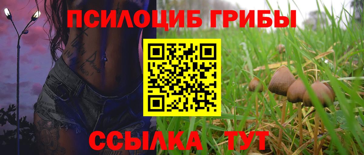 Галлюциногенные грибы Psilocybine cubensis  Вход с VPN  Избербаш  Галлюциногенные грибы ЛСД 