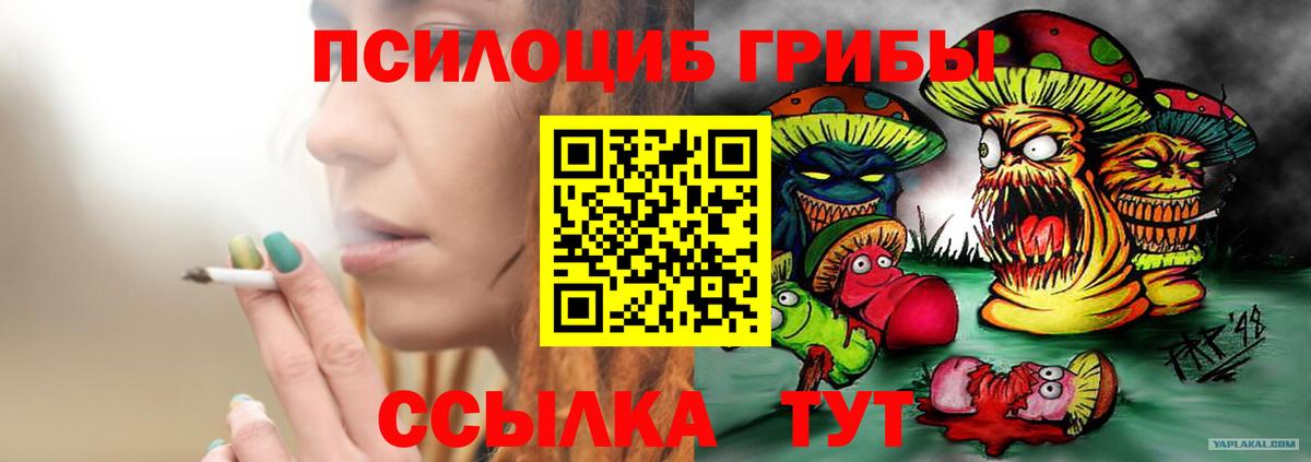 Псилоцибиновые грибы мицелий Избербаш